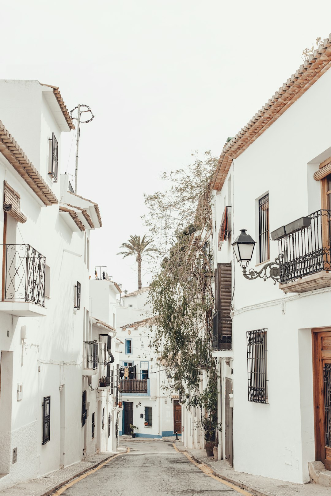 Rutas en Coche de Lujo por España